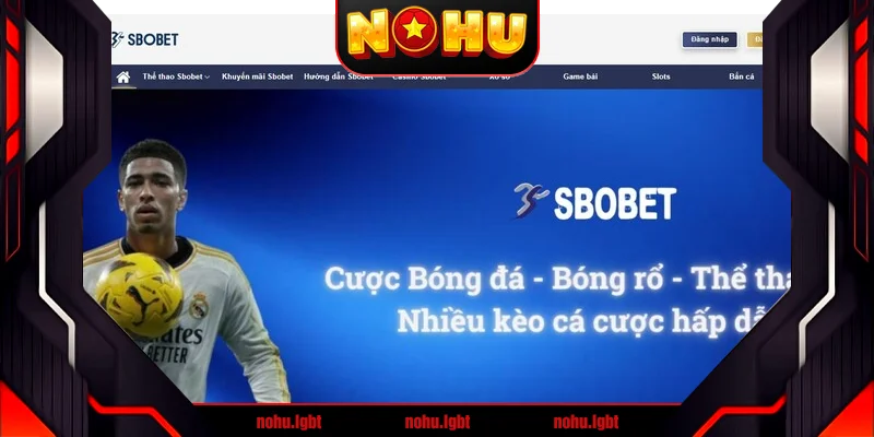 Giới thiệu chung về sbobet Giới thiệu chung về sbobet